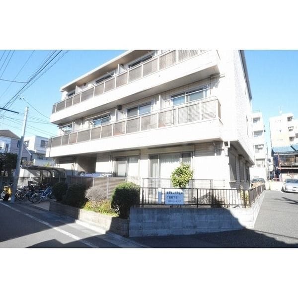 シェモア加瀬の写真