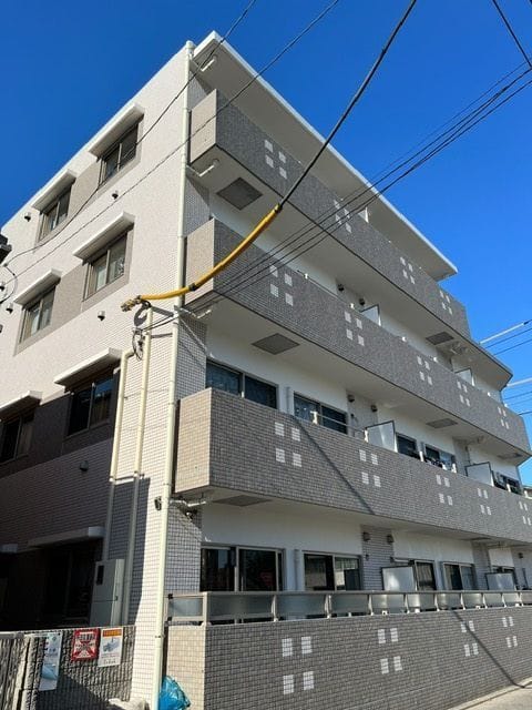ピュアエルモア 302