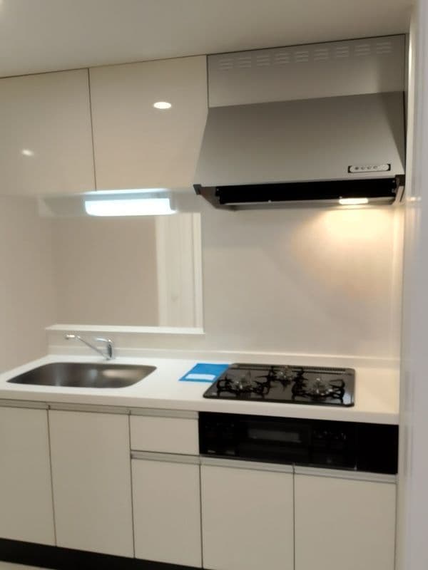 ピースコート登戸Ⅵ 302