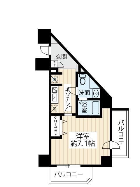 スカイコート武蔵新田Ⅱ 501