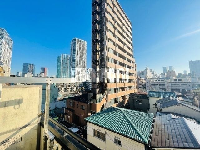 パサニア白金 403