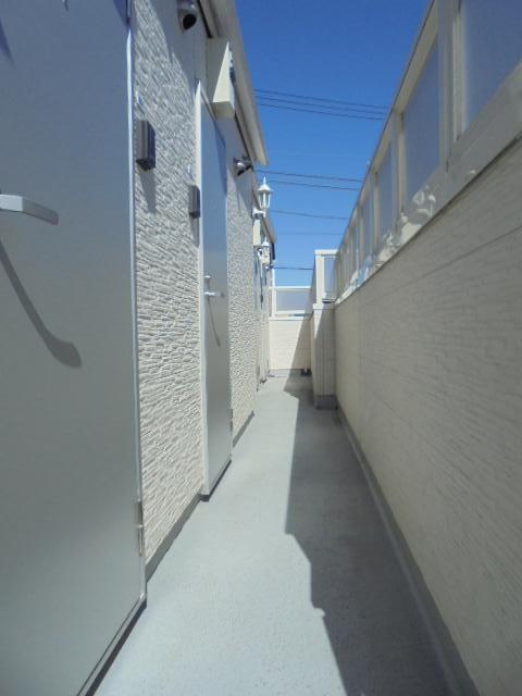 ソフィアライトの写真