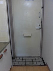ミレ・関町 0203