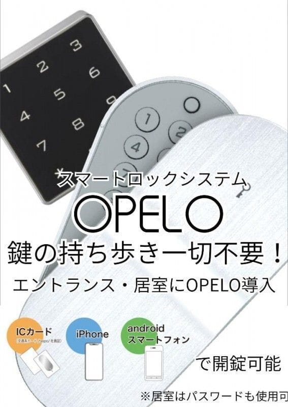 OP-TION YAYOICHO 501