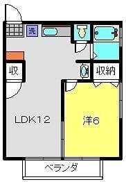 パーシモン市金の写真