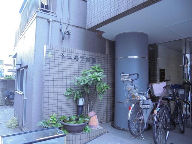 シェモア加藤の写真