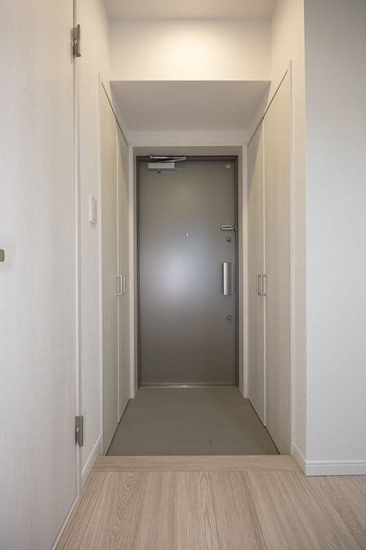 ステラテラス 803