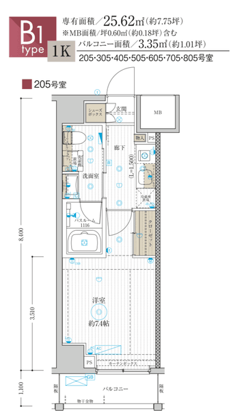 BELLGRADE KAMEIDOの写真