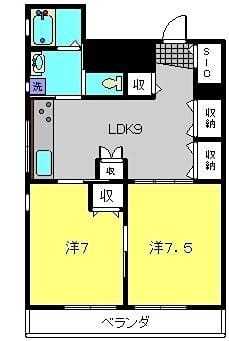 ルミナスの写真