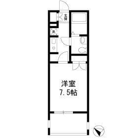 シャリオ本芝 504