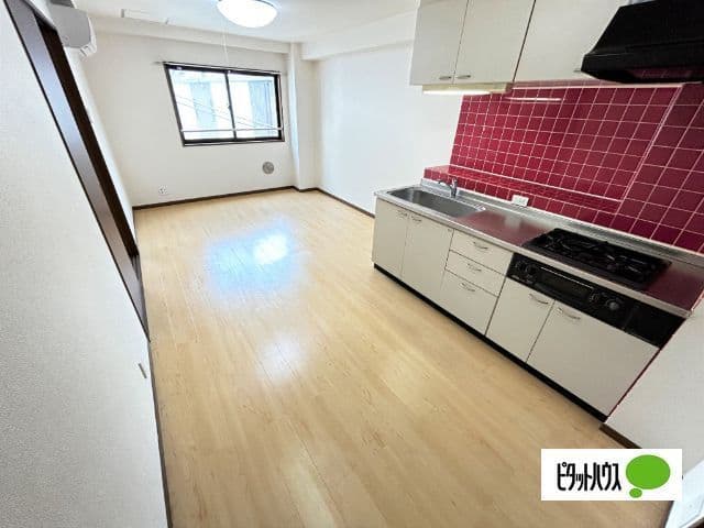 MIYABI 305