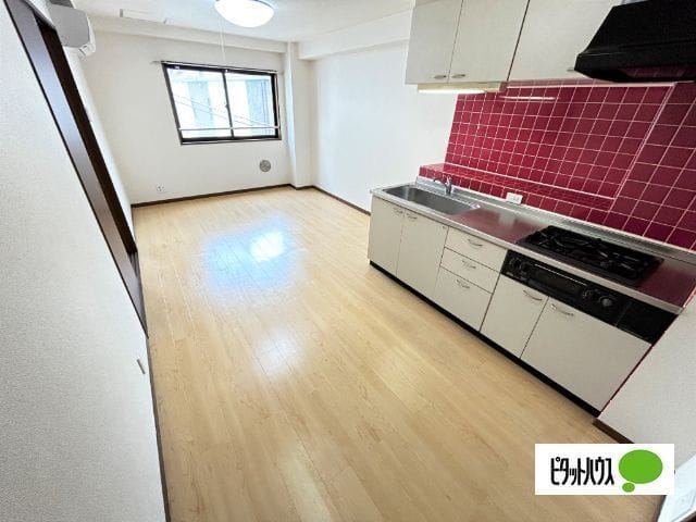 MIYABI 305