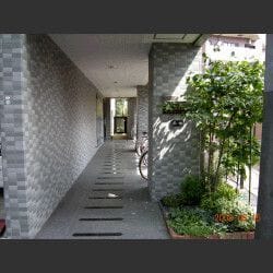 ミレナーリオの写真