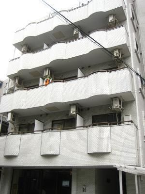 サンルピナスの写真