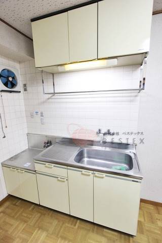 ハイネスイイダ 203