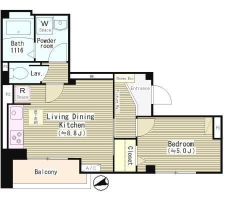 コリンシアの写真