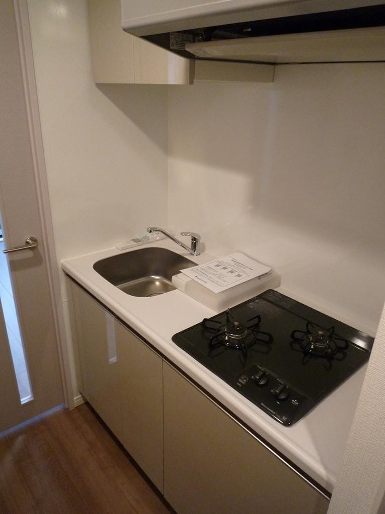 スカイコートプライム亀戸 501