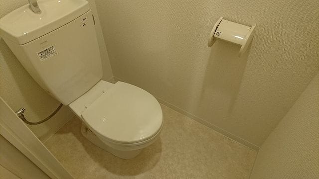 カーサハナミズキの写真