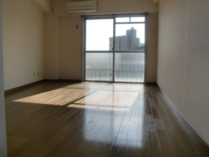 ドルフケンマート 501