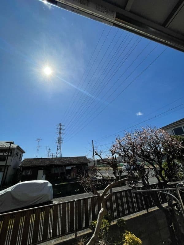 アドバンス 205