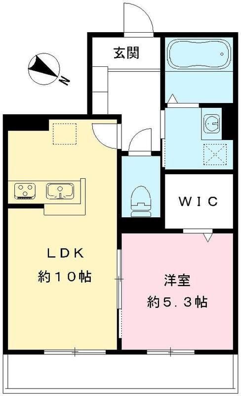 グラン トルチェ ドゥ Grand Tortue Deuxの写真