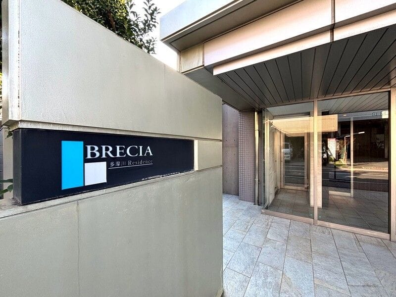 ブレシア多摩川レジデンス 113