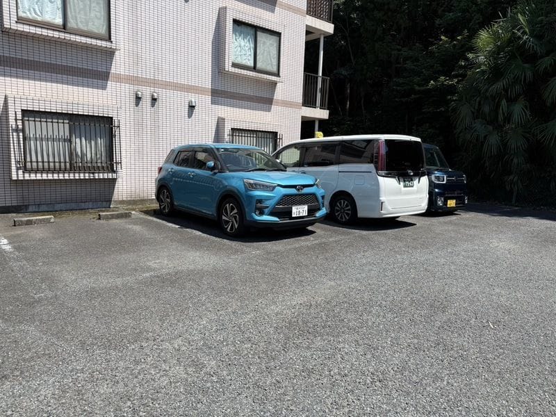 クレアールスギモト 301